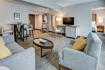 Suite, 1 King Bed with Sofa bed