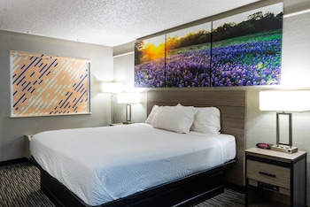 Room, 1 Queen Bed, Accessible, Non Smoking (Mobility,Tub w/Grab Bars)
