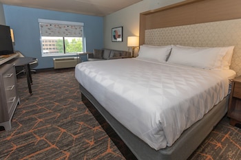 Standard Room, 1 King Bed, Accessible (Communications, Accessible Tub)