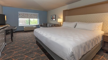 Standard Room, 1 King Bed with Sofa bed