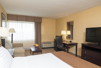 Standard Room, 1 King Bed with Sofa bed