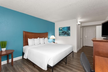 Deluxe Room, 1 King Bed, Mobility Accessible, Non Smoking (Roll-In Shower)