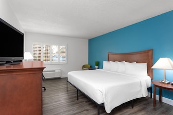 Deluxe Room, 1 King Bed, Mobility Accessible, Non Smoking (Roll-In Shower)
