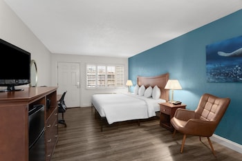 Deluxe Room, 1 King Bed, Mobility Accessible, Non Smoking (Bathtub w/Grab Bars)