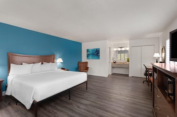 Room, 1 King Bed, Non Smoking