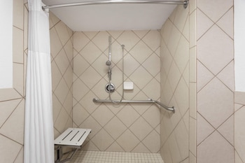 Deluxe Room, 1 King Bed, Mobility Accessible, Non Smoking (Roll-In Shower)