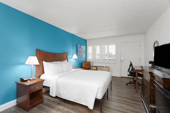 Deluxe Room, 1 Queen Bed, Mobility Accessible, Non Smoking (Bathtub w/Grab Bars)