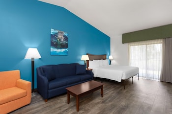 Studio Suite, 1 King Bed with Sofa bed, Non Smoking