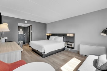 Standard Room, 1 King Bed, Non Smoking, Refrigerator & Microwave (Pet Friendly)