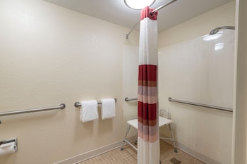 Deluxe Room, 1 King Bed, Accessible (Roll-In Shower, Smoke Free)