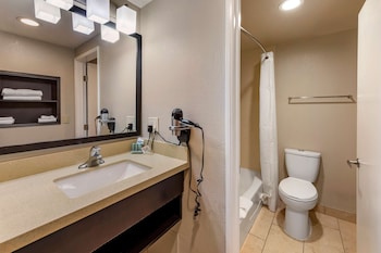 Standard Room, 1 King Bed, Accessible, Bathtub