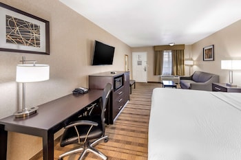 Standard Room, 1 King Bed, Non Smoking, Refrigerator & Microwave (with Single Sofabed)