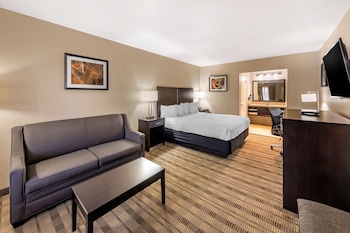 Standard Room, 1 King Bed, Non Smoking, Refrigerator & Microwave (with Single Sofabed)