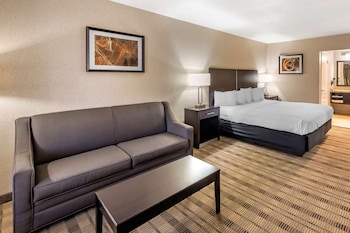 Standard Room, 1 King Bed, Non Smoking, Refrigerator & Microwave (with Single Sofabed)