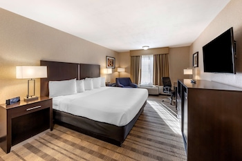 Standard Room, 1 King Bed, Accessible, Bathtub
