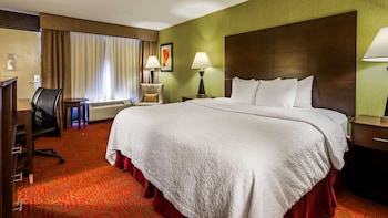 Standard Room, 1 King Bed, Non Smoking, Refrigerator & Microwave