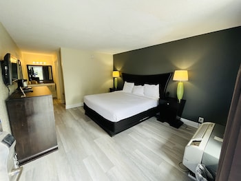 Room, 1 King Bed, Accessible, Non Smoking