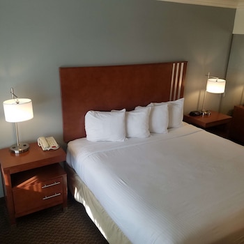 Standard Room, 1 King Bed, Non Smoking, Refrigerator & Microwave