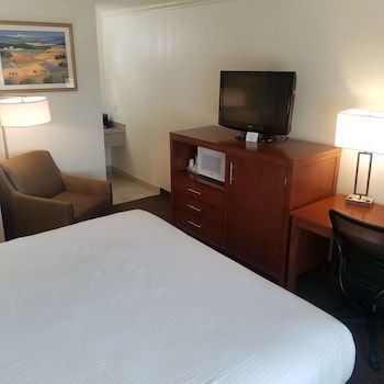 Standard Room, 1 King Bed, Non Smoking, Refrigerator & Microwave (Larger Room)