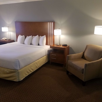 Standard Room, 1 King Bed, Non Smoking, Refrigerator & Microwave (Larger Room)