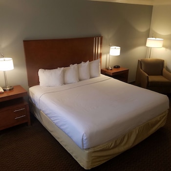 Standard Room, 1 King Bed, Non Smoking, Refrigerator & Microwave (Larger Room)