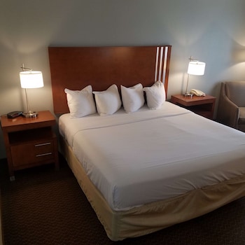 Standard Room, 1 King Bed, Non Smoking, Refrigerator & Microwave