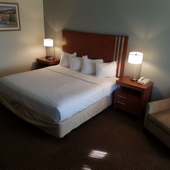 Standard Room, 1 King Bed, Non Smoking, Refrigerator & Microwave