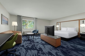 Room, 1 King Bed with Sofa bed, Hearing Accessible (Accessible Bathtub)