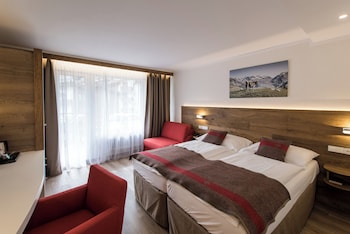 Classic Double or Twin Room, Mountain View