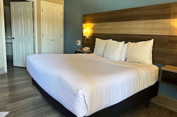 Room, 1 King Bed, Accessible, Non Smoking (Mobility Accessible)