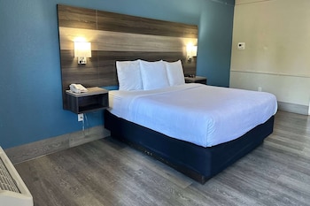 Room, 1 King Bed, Non Smoking