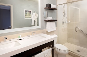 Suite, 1 King Bed
