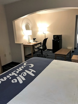Room, 1 King Bed, Accessible, Smoking (Mobility Accessible)