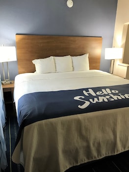 Room, 1 King Bed, Non Smoking