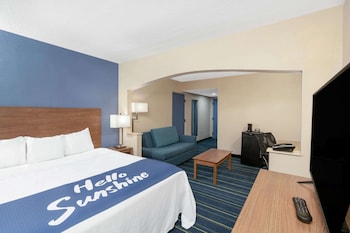 Room, 1 King Bed, Smoking