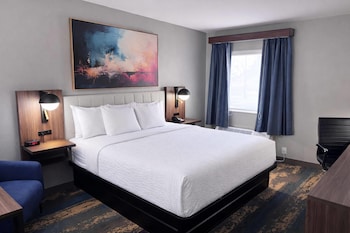 Room, 1 King Bed, Mobility Accessible, Non Smoking (Mobility, Bathtub W/grab Bars)