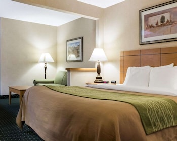Suite, 1 King Bed with Sofa bed, Non Smoking