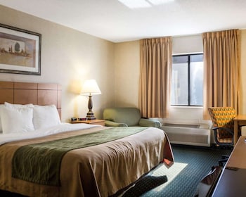 Standard Room, 1 King Bed, Non Smoking