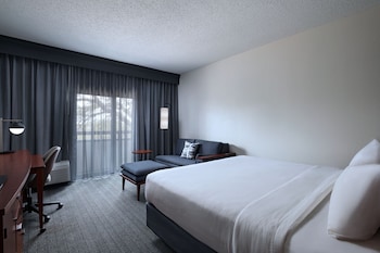 Room, 1 King Bed with Sofa bed