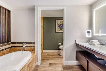 Studio, 1 King Bed with Sofa bed, Kitchenette