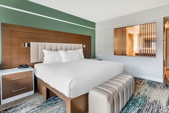Studio, 1 King Bed with Sofa bed, Kitchenette