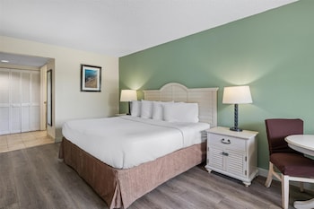 Standard Room, 1 King Bed, Non Smoking, Refrigerator & Microwave