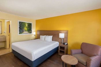 Room, 1 King Bed, Accessible, Non Smoking