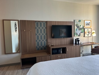 Premium Room, 1 King Bed, Mountain View