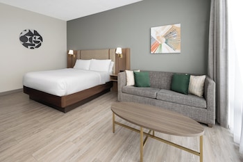 Premium Room, 1 King Bed, Mountain View