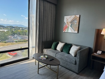 Premium Room, 1 King Bed, Mountain View