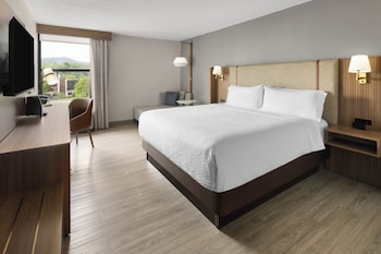 Standard Room, 1 King Bed, Mobility Accessible (Accessible Shower)