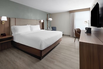 Standard Room, 1 King Bed, Mobility Accessible (Accessible Shower)