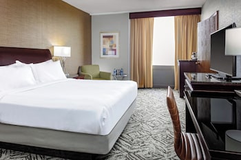 Room, 1 King Bed (294 SQ FT)