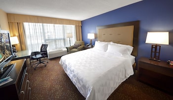Standard Room, 1 King Bed, Accessible, Non Smoking (Communications, Mobility, Access Tub)